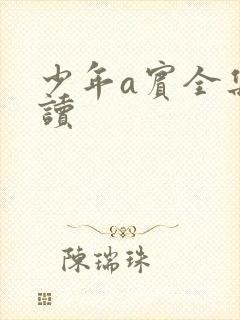 少年a宾全集阅读