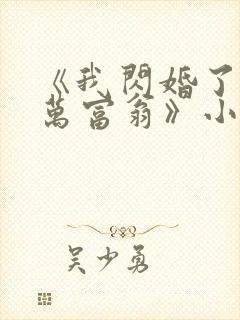 《我闪婚了个亿万富翁》小说