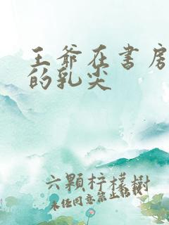 王爷在书房含她的乳尖