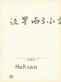 流星雨3小说