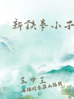 新铁拳小子