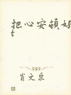 把心安顿好txt