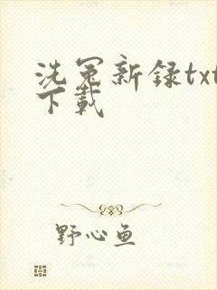 洗冤新录txt下载