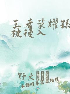 王者荣耀孙尚香被后入