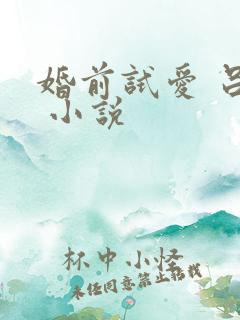 婚前试爱 吕颜 小说