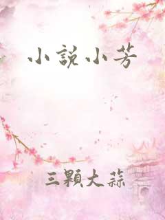 小说小芳