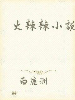 火辣辣小说全集