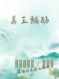 真王辅助
