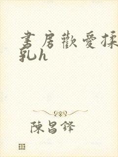 书房欢爱揉捏娇乳h