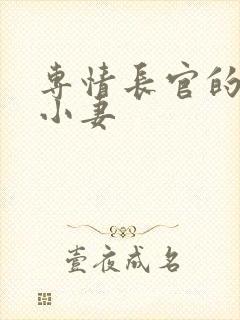 专情长官的天价小妻