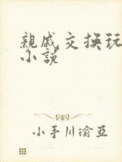 亲戚交换玩美妇小说