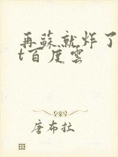 再苏就炸了txt百度云