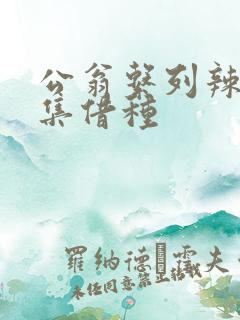 公翁系列辣文全集借种