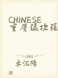 CHINESE重庆猛攻张先生