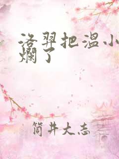 洛羿把温小辉做烂了