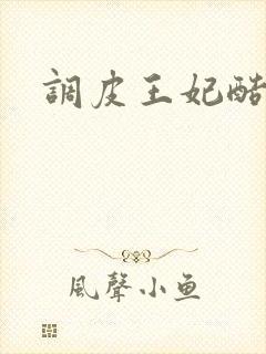 调皮王妃酷王爷