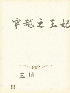 穿越之王妃有孕