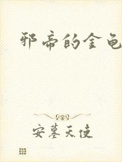 邪帝的金龟小宠