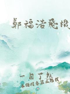 郑福浩飞机坠海