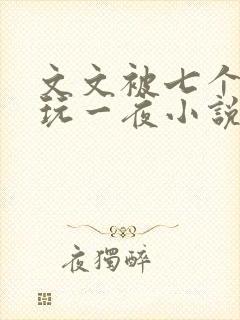 文文被七个男人玩一夜小说