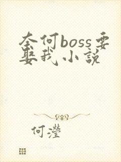 奈何boss要娶我小说