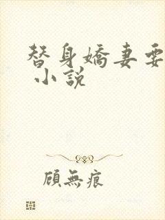 替身娇妻要离婚 小说