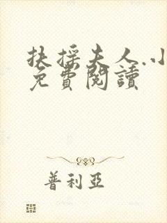 扶摇夫人.小说免费阅读