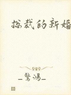 总裁的新婚弃妇