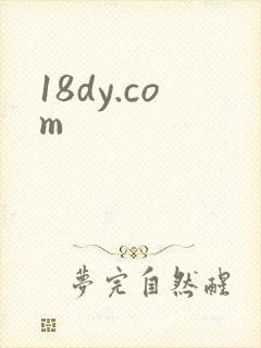 18dy.com