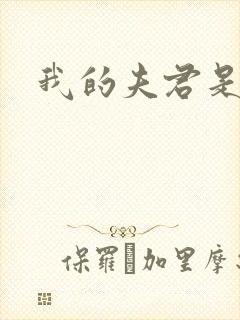 我的夫君是冥王