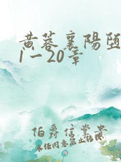 黄蓉襄阳堕落史1一20章