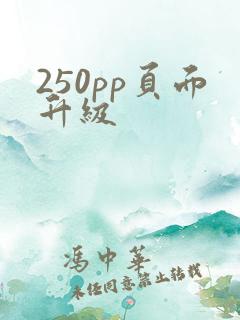 250pp页面升级