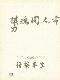 棋魂同人命运之力