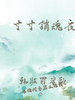 寸寸销魂夜春光