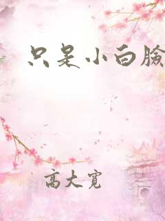 只是小白脸