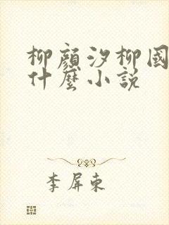 柳颜汐柳国安是什么小说