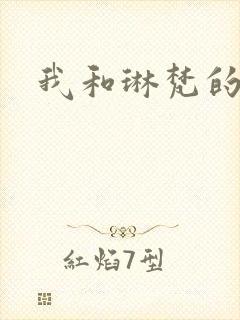 我和琳梵的故事