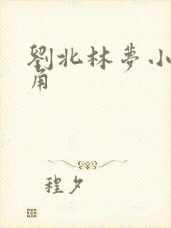 刘北林梦小说主角