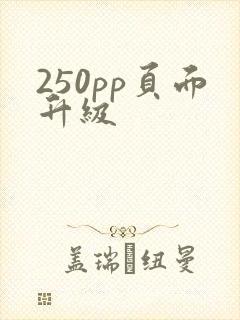 250pp页面升级