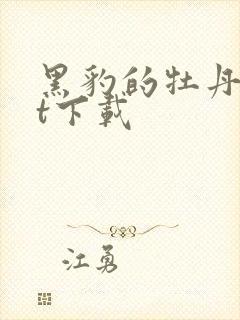 黑豹的牡丹txt下载