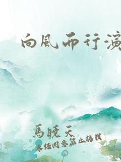 向风而行演员表
