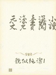 元浅秦深小说全文免费阅读