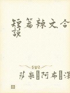 短篇辣文合集小说