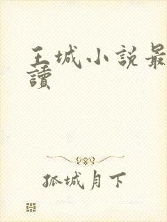 王城小说最近阅读