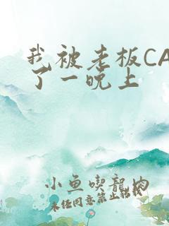 我被老板CAO了一晚上