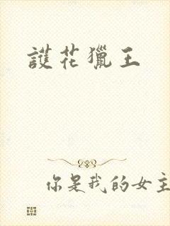 护花猎王
