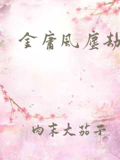 金庸风尘劫