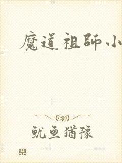 魔道祖师小说
