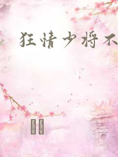 狂情少将不良妻