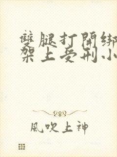 双腿打开绑在刑架上受刑小说